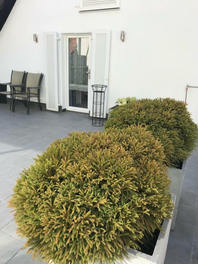 OrschweierCasa Christina公寓 外观 照片